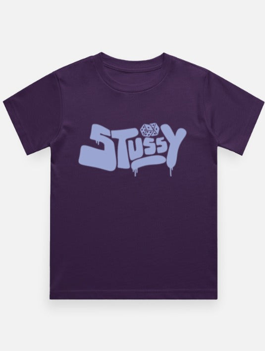 Stussy BT
