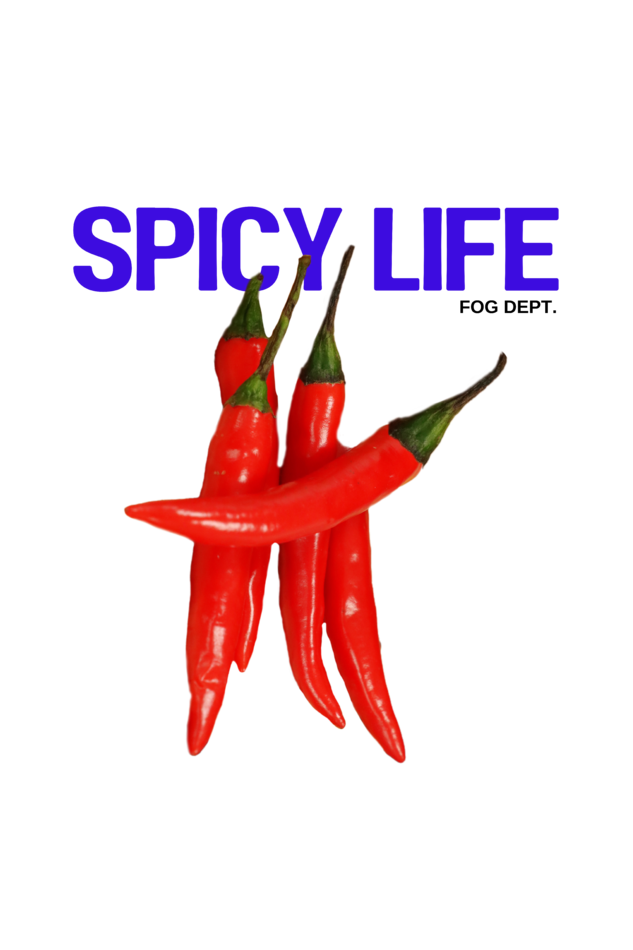 Veg Spicy Life -