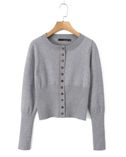 Lenon Cloud Knit Button Up Cardigan and Skirt Set