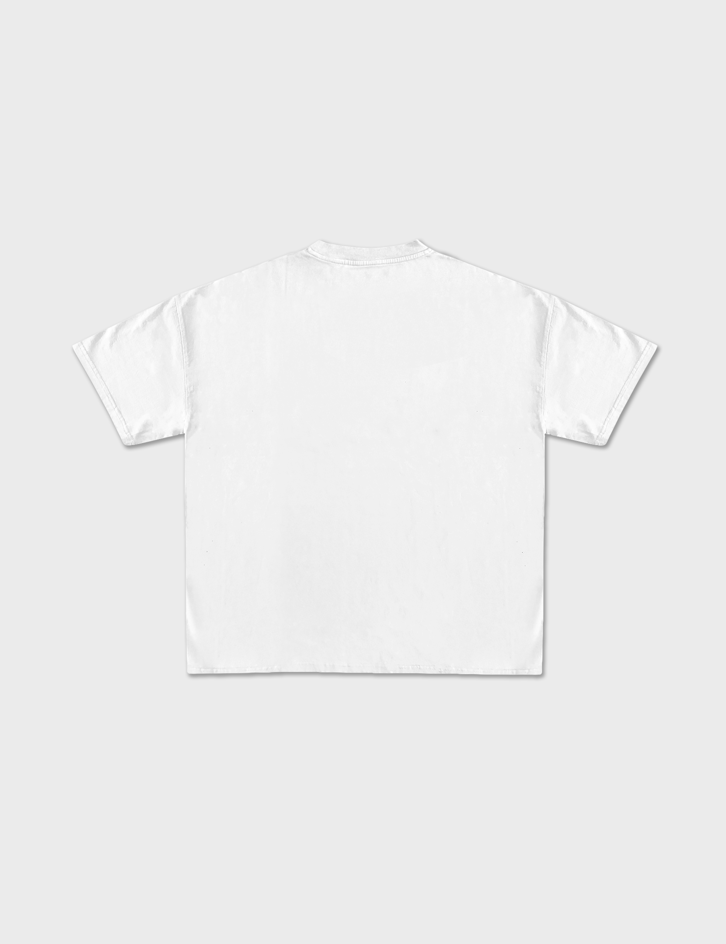 BACK_0b5e656e-7086-427e-ae5a-2314b9622741.png