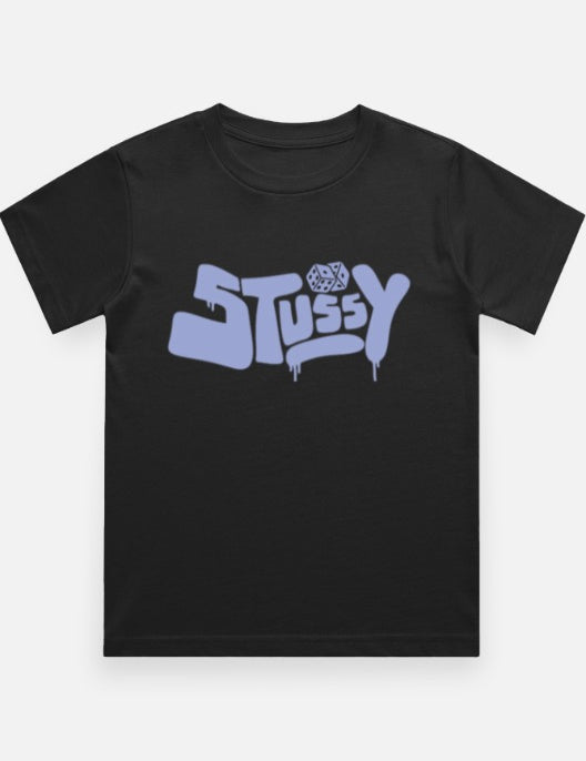 Stussy BT